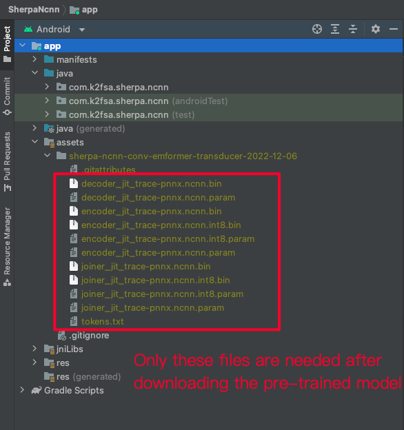 Files after downloading the pre-trained model