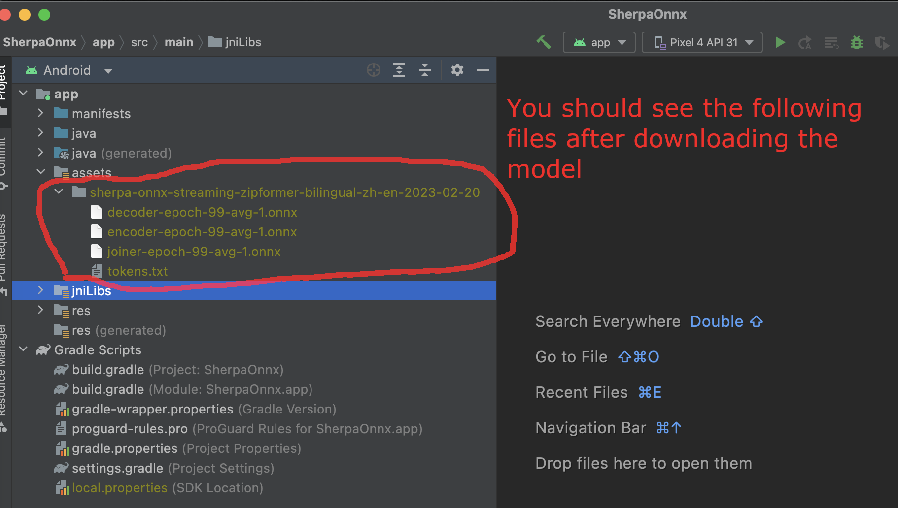 Files after downloading the pre-trained model